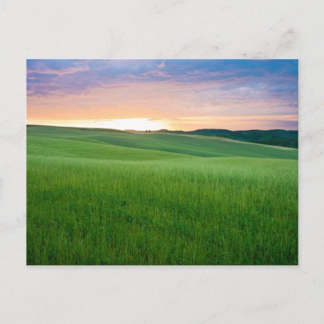 Coucher de soleil en Toscane carte postale (Devant)