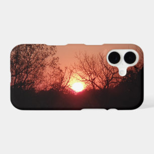 Coucher de soleil rouge silhouette