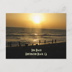 Coucher de soleil sur la carte postale de Dog Beac