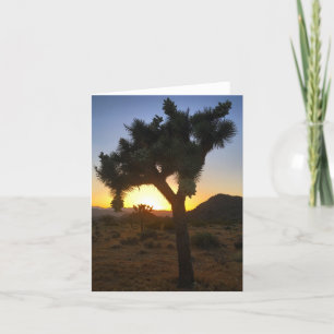 coucher de soleil sur l'arbre joshua #3 carte pour