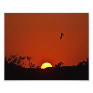 Coucher De Soleil Sur L'Impression Photo Marsh
