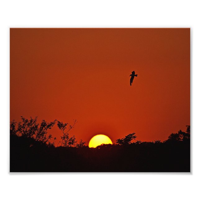 Coucher De Soleil Sur L'Impression Photo Marsh (Devant)
