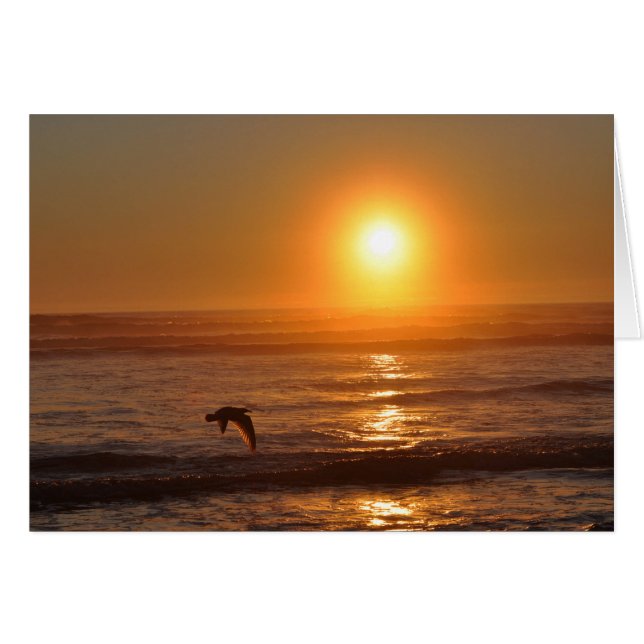 Coucher de soleil sur l'océan Pacifique (Devant horizontal)