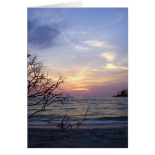 Coucher du soleil 1 d'île de paume