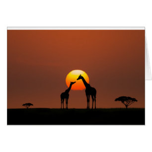 Coucher du soleil africain