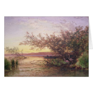 Coucher du soleil, Camargue