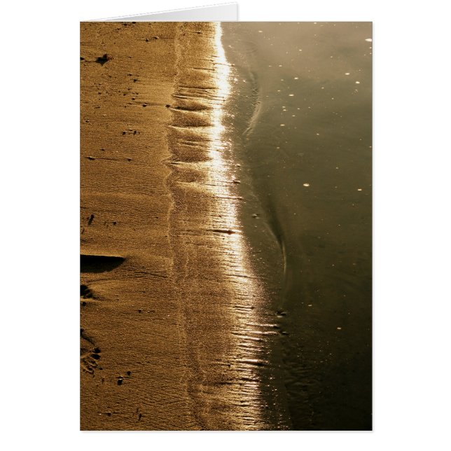 Coucher du soleil chez Shoreline (Devant)