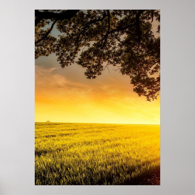 Coucher du soleil dans un paysage rural affiche (Devant)