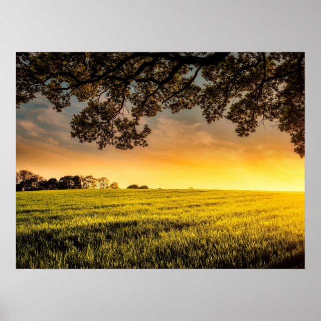 Coucher du soleil dans un paysage rural affiche (Devant)