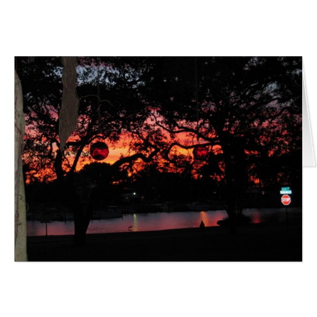 Coucher du soleil de la Floride (Devant horizontal)