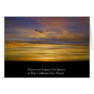 Coucher du soleil de lagune de San Ignacio