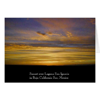 Coucher du soleil de lagune de San Ignacio