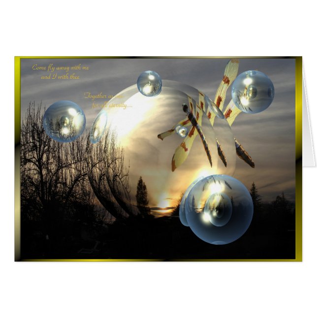 Coucher du soleil de libellule (Devant horizontal)