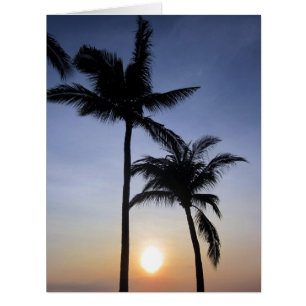 coucher du soleil de paumes grand