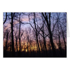 Coucher du soleil d'hiver de région boisée de PA