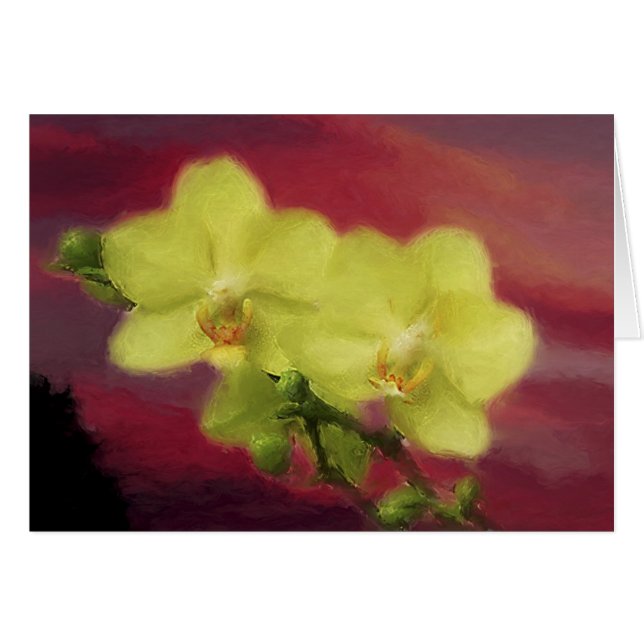 Coucher du soleil d'orchidée (Devant horizontal)