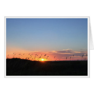 Coucher du soleil et avoine de mer sur la plage de