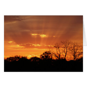 "coucher du soleil merveilleux" par Larry Coressel