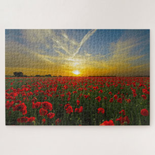 Coucher du soleil sur le champ de pavot puzzle