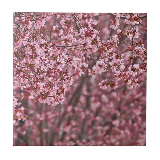 Couches de Carreaux de fleurs de cerisier japonais (Devant)