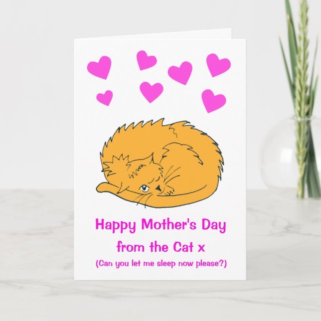 Coucou de la carte des mères de chats endormies (Devant)
