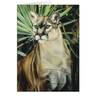 "Cougar"