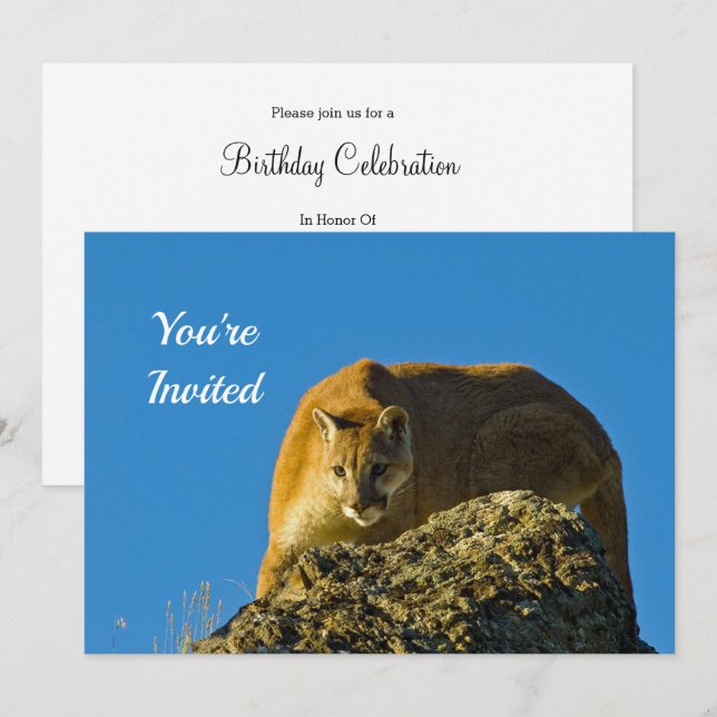 Cougar Birthday Invitation (Front/Back)