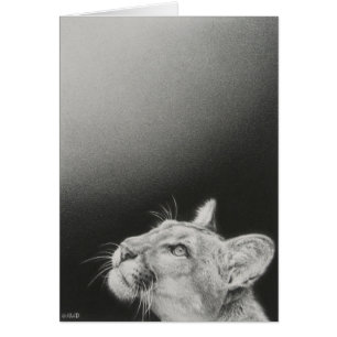 Cougar Blank Card by Andrew Denman