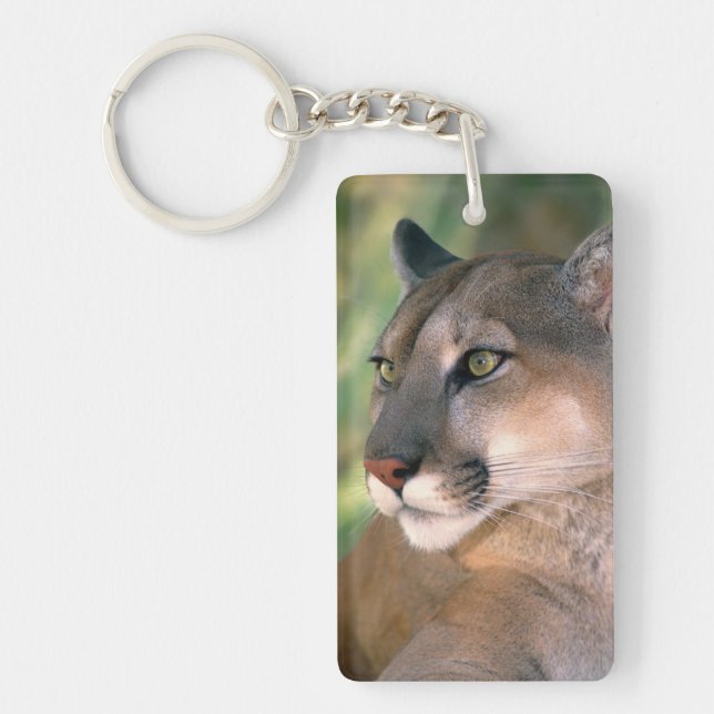 Cougar, California Keychain (Front)