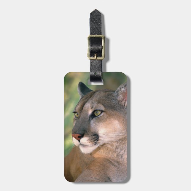 Cougar, California Luggage Tag (Front Vertical)