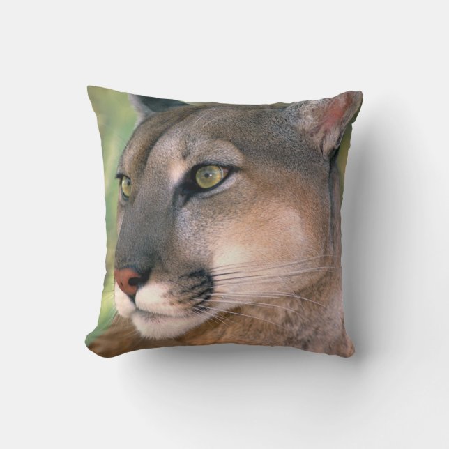 Cougar, California Throw Pillow (Front)