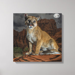 Cougar Canvas Print