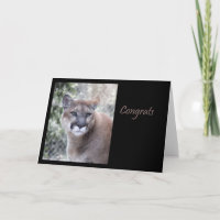 Cougar Congratulations