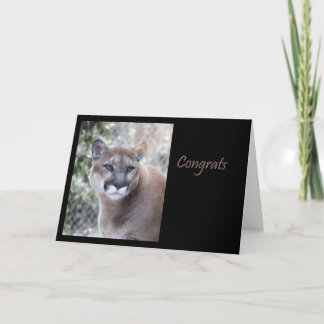 Cougar Congratulations Card