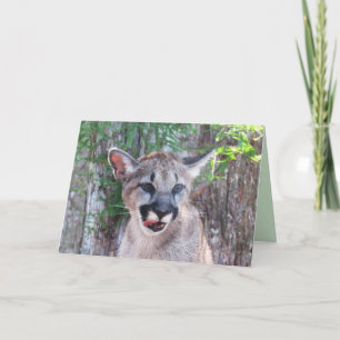 Cougar Cub Greeting Card