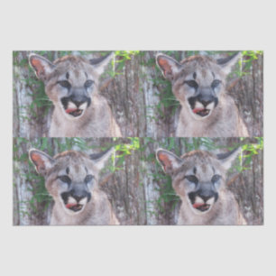 Cougar Cub Tissue Paper / Decoupage Paper 