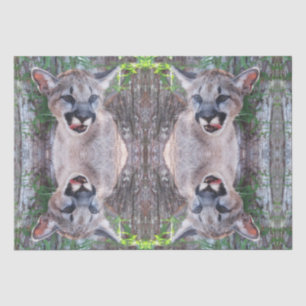 Cougar Cub Tissue Paper / Decoupage Paper 
