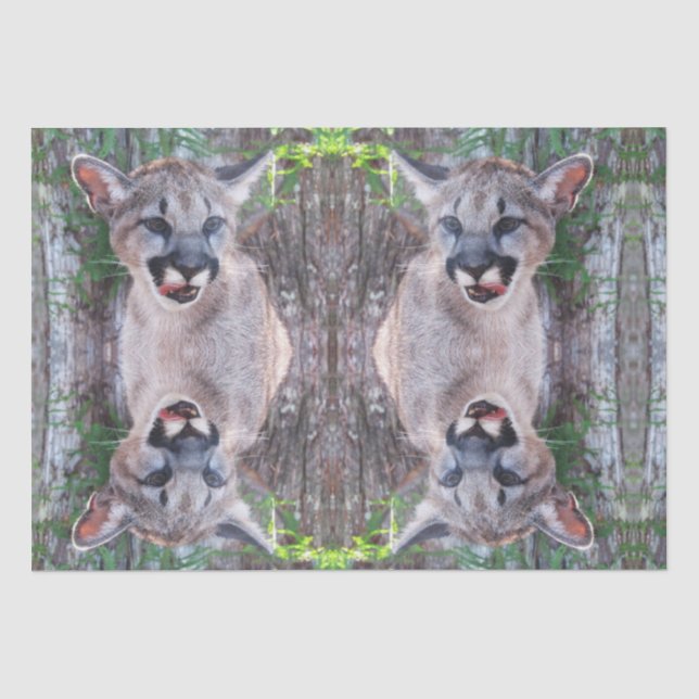 Cougar Cub Tissue Paper / Decoupage Paper  (Front)