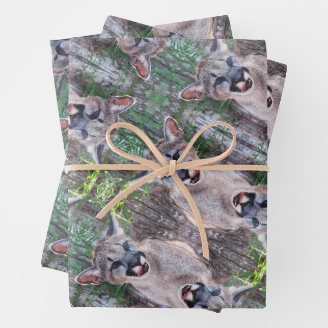 Cougar Cub Wrapping Paper Sheets (In situ)