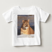 Cougar Face