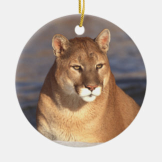 Cougar Face Ornament