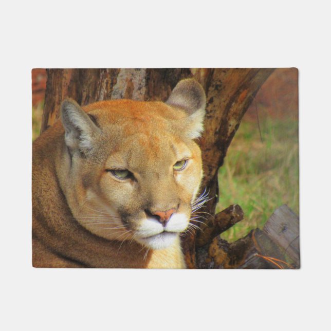 Cougar / Florida Panther / Puma Doormat (Front)