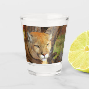 Cougar / Florida Panther / Puma Shot Glass