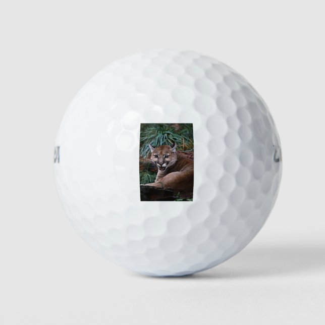 Cougar Golf Balls (Front)