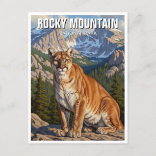 Cougar in Rocky Mountain National Park Travel Postcard