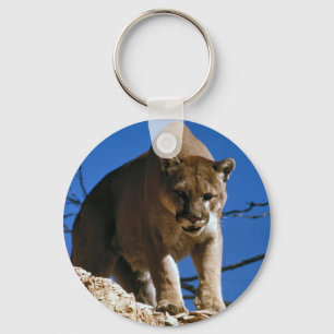 cougar keychain
