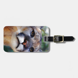 Cougar Luggage Tag