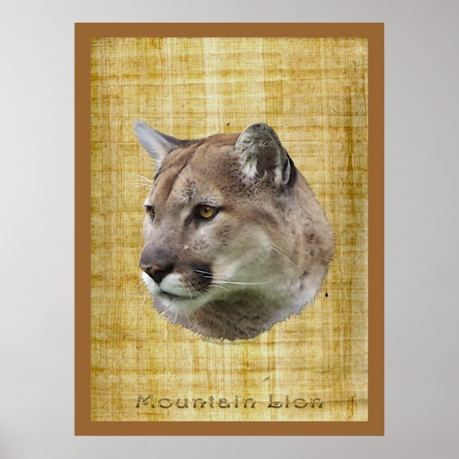 COUGAR, MONTAGNE LION, PUMA Poster (Devant)