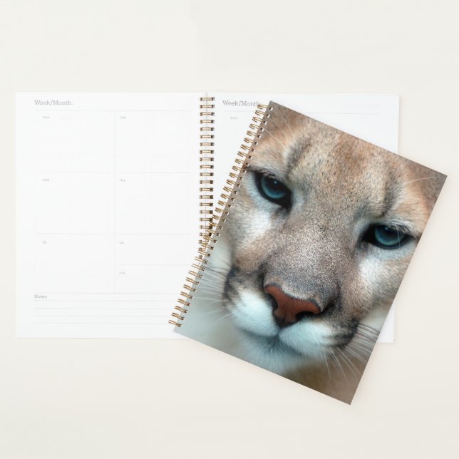 Cougar Mountain  Lion Cat Animal Destiny's Destiny Planner (Display)