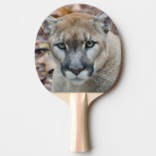 Cougar, mountain lion, Florida panther, Puma 2 Ping Pong Paddle